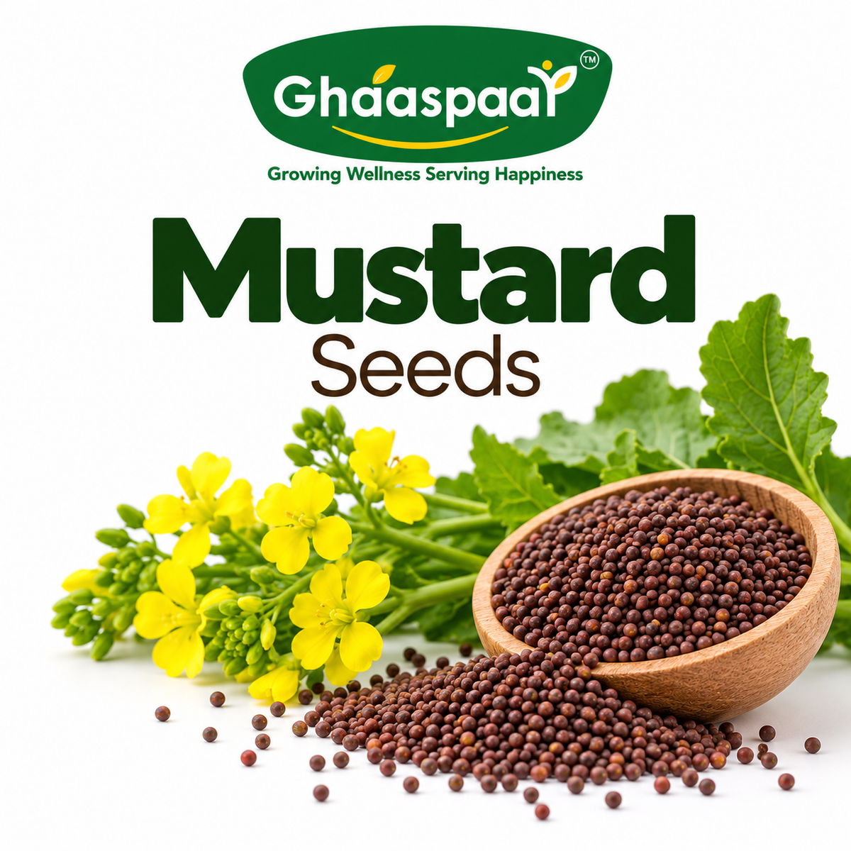 Mustard Seeds for Microgreens
