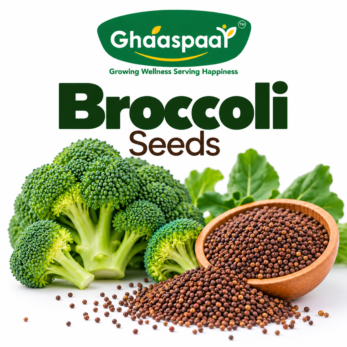 Broccoli Seeds for Microgreens