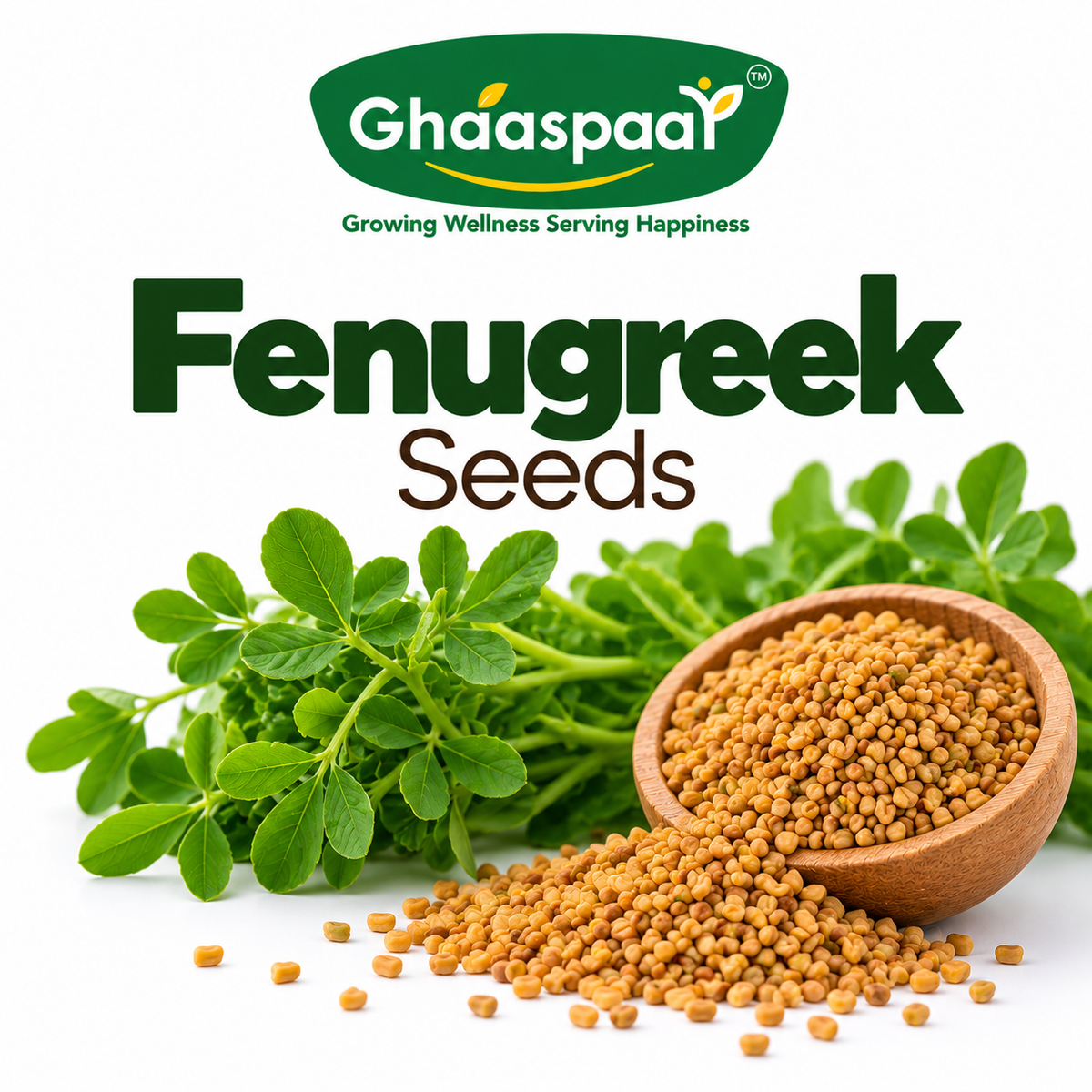 Fenugreek Seeds for Microgreens