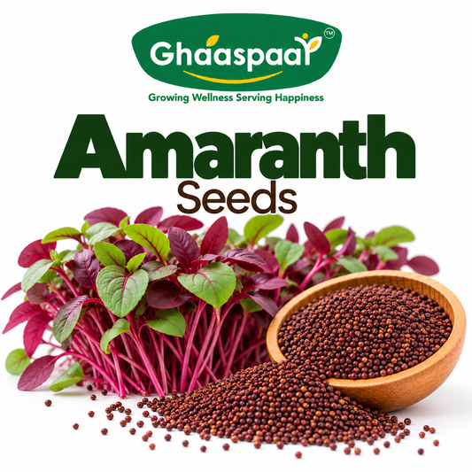 Amaranth Seeds for Microgreens