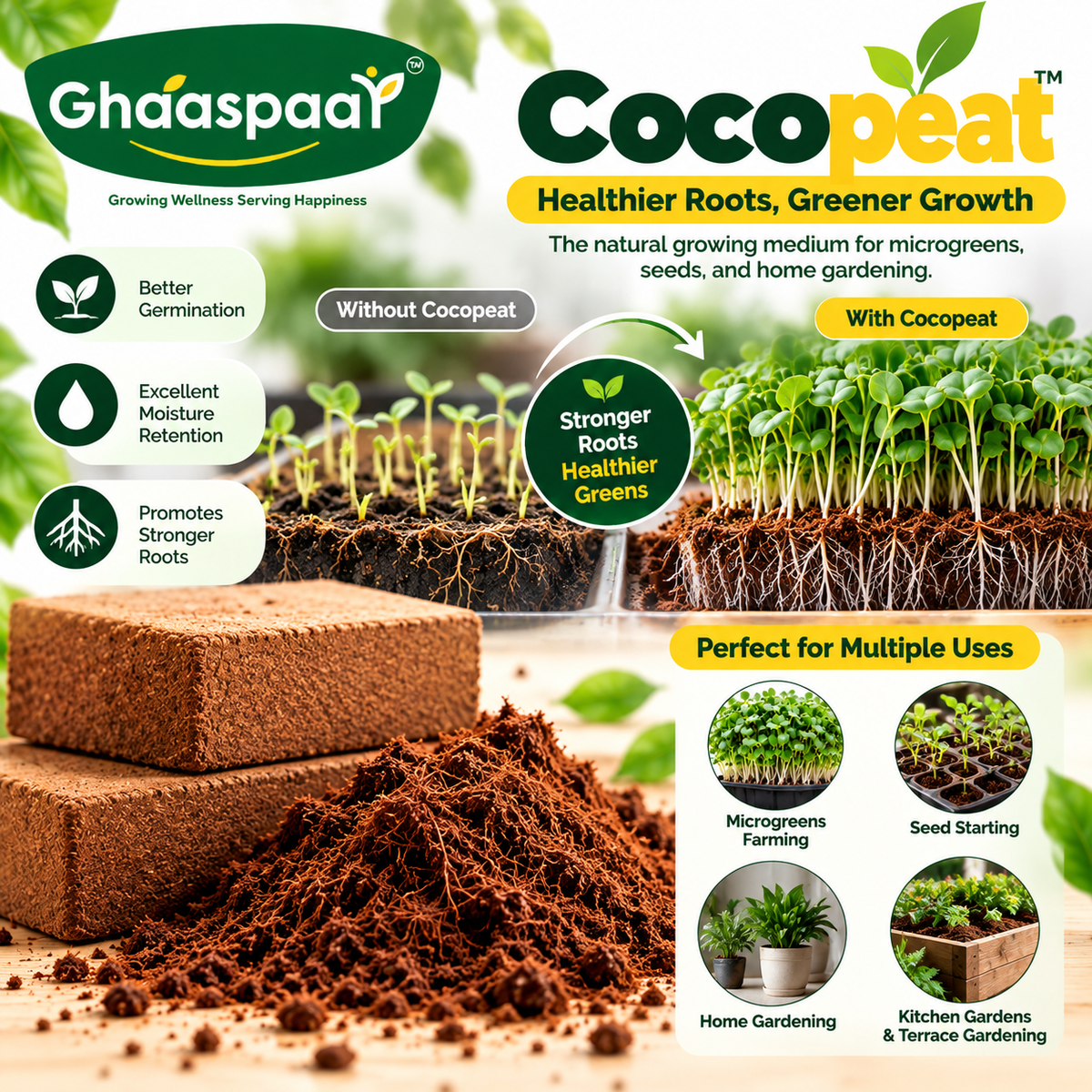 Premium Cocopeat