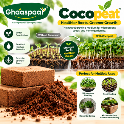 Premium Cocopeat