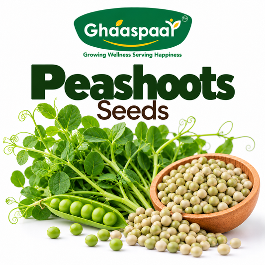 Peashoots Seeds for Microgreens