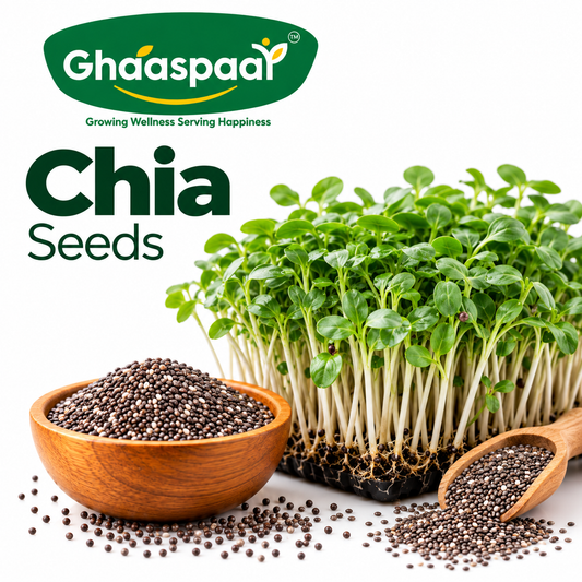 Chia Seeds for Microgreens