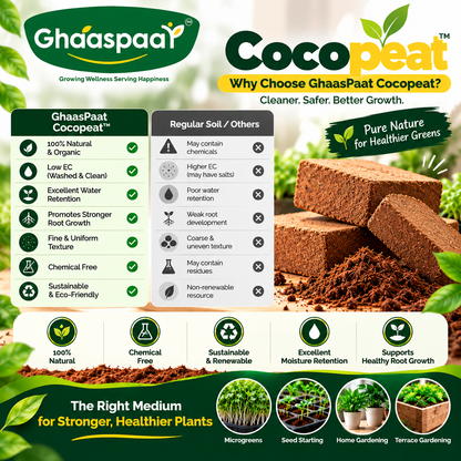 Premium Cocopeat
