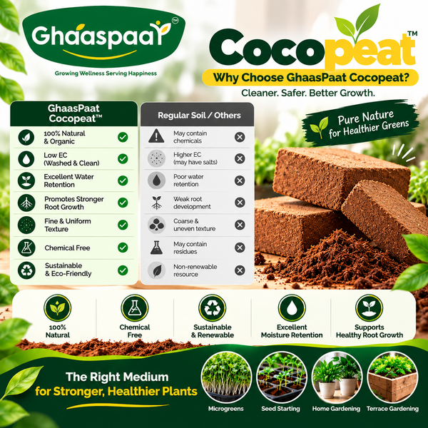 Premium Cocopeat