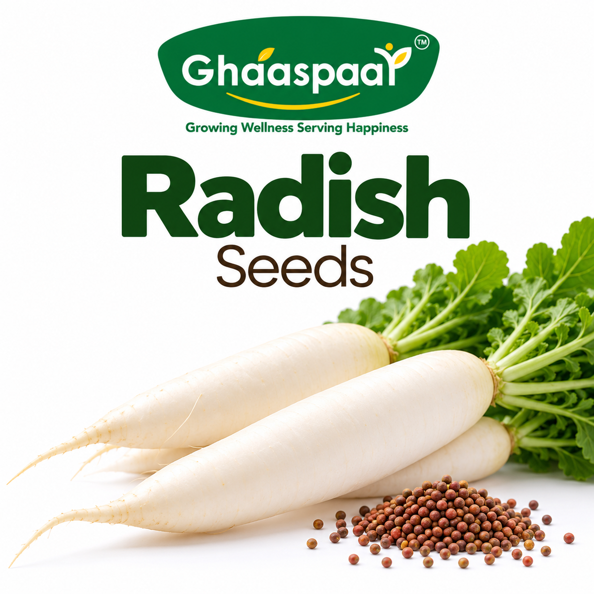 Radish Seeds for Microgreens