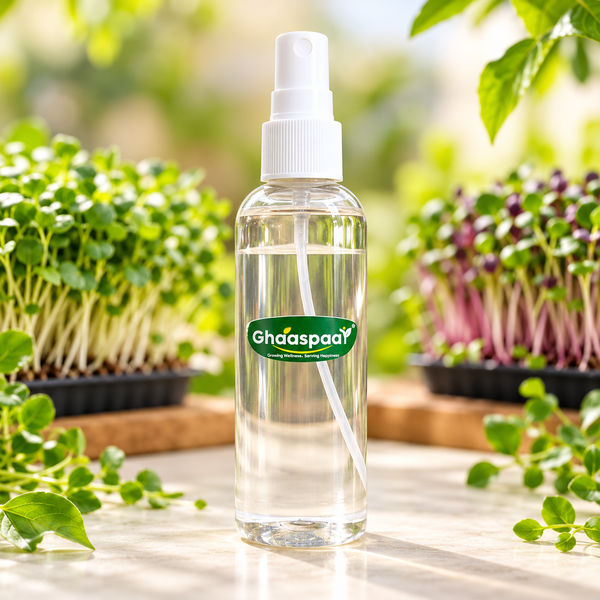 Fine Mist Spray Bottle – 100 ml