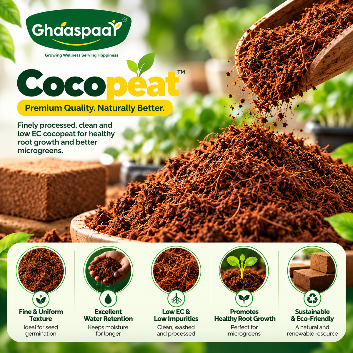 Premium Cocopeat